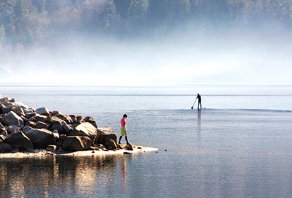 The Water's Edge