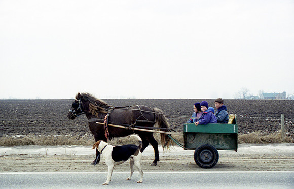 Mennonite Children